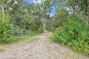6306 County Rd 244, Brazoria, TX 77422 - Photo 1