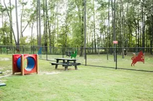 108 Salvia Star Ct, Conroe, TX 77304 - Photo 45