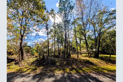 11 Castaway Lane, Coldspring, TX 77331 - Photo 3