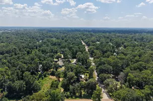 37019 Little Thorn Ln, Magnolia, TX 77354 - Photo 41