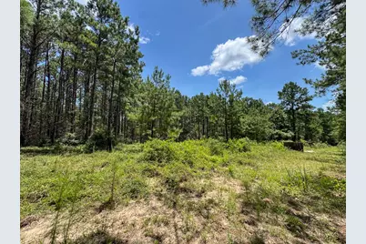 00 Fm 946, Oakhurst, TX 77359 - Photo 9