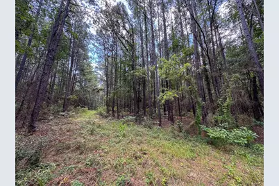 00 Fm 946, Oakhurst, TX 77359 - Photo 7