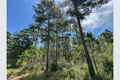 00 Fm 946, Oakhurst, TX 77359 - Photo 5