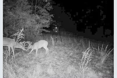00 Fm 946, Oakhurst, TX 77359 - Photo 13