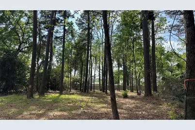 775 Huckleberry Circle, Onalaska, TX 77360 - Photo 5