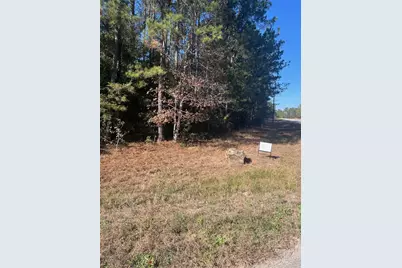 21240 Big Buck Drive, Cleveland, TX 77328 - Photo 3