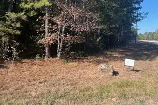 21240 Big Buck Dr, Cleveland, TX 77328 - Photo 3