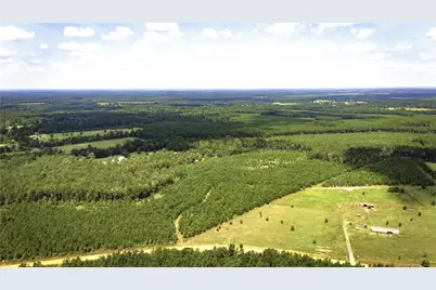 Tbd Stutts Hill, Livingston, TX 77351 - Photo 7