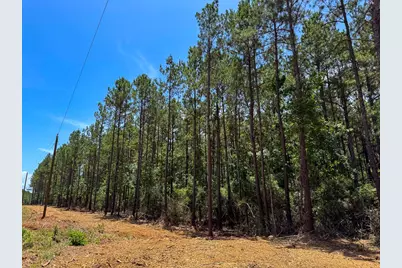 7 Benny Griffin Road, Livingston, TX 77351 - Photo 33