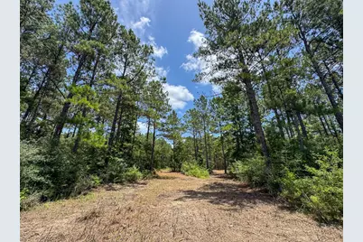 7 Benny Griffin Road, Livingston, TX 77351 - Photo 31