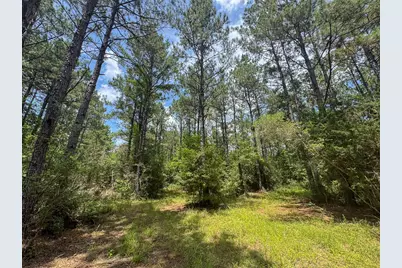 7 Benny Griffin Road, Livingston, TX 77351 - Photo 41