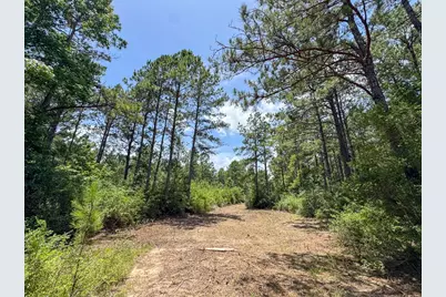 7 Benny Griffin Road, Livingston, TX 77351 - Photo 27