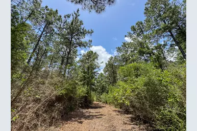 7 Benny Griffin Road, Livingston, TX 77351 - Photo 29