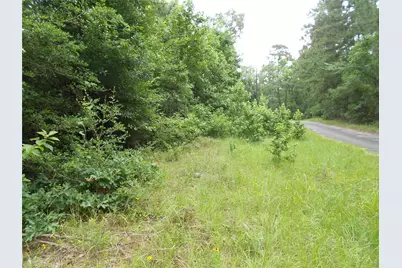 Na River Drive, Trinity, TX 75862 - Photo 5