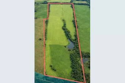 Tbd (+/- 38.77 Acres) Andreski Road, Bremond, TX 76629 - Photo 5