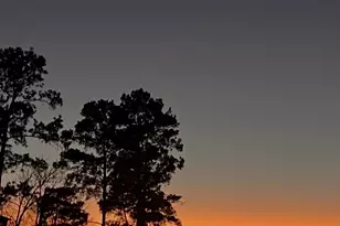 12323 Longmire Cove, Conroe, TX 77304 - Photo 3