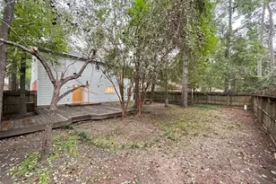 17 Briervine Ct, The Woodlands, TX 77381 - Photo 17