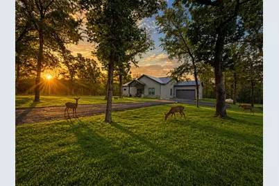 176 Cr 770, Donie, TX 75838 - Photo 1