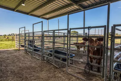 2455 County Road 289, East Bernard, TX 77435 - Photo 23