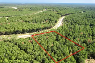 15409 Frst Grv Dr, Willis, TX 77378 - Photo 3