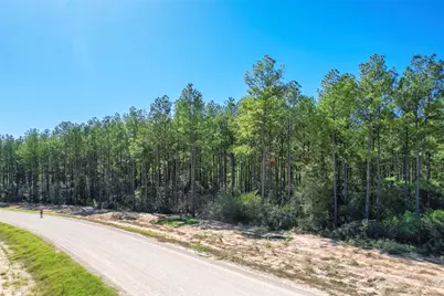 15409 Forest Grove Drive, Willis, TX 77378 - Photo 11