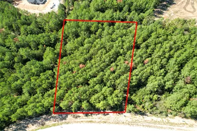 15409 Forest Grove Drive, Willis, TX 77378 - Photo 27