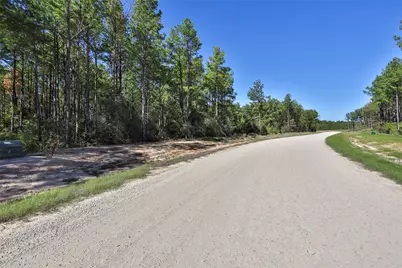 15409 Forest Grove Drive, Willis, TX 77378 - Photo 29