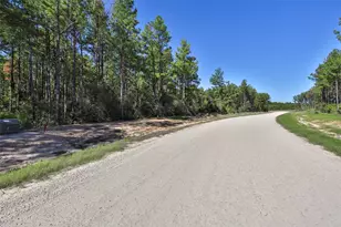 15409 Frst Grv Dr, Willis, TX 77378 - Photo 29