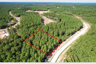 15409 Forest Grove Drive, Willis, TX 77378 - Photo 31