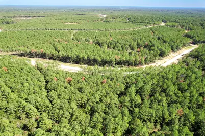 15409 Forest Grove Drive, Willis, TX 77378 - Photo 17