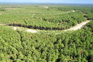 15409 Frst Grv Dr, Willis, TX 77378 - Photo 17