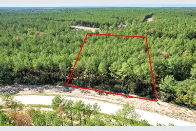 15409 Forest Grove Drive, Willis, TX 77378 - Photo 21