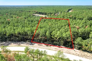 15409 Frst Grv Dr, Willis, TX 77378 - Photo 21