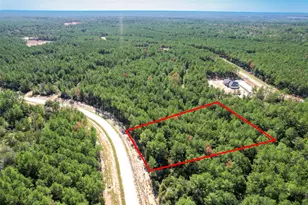 15409 Frst Grv Dr, Willis, TX 77378 - Photo 9