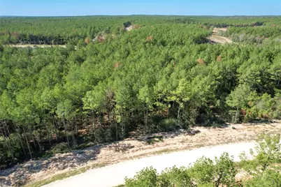 15409 Forest Grove Drive, Willis, TX 77378 - Photo 13