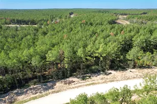 15409 Frst Grv Dr, Willis, TX 77378 - Photo 13