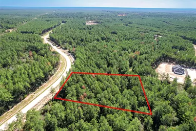 15409 Forest Grove Drive, Willis, TX 77378 - Photo 23