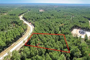 15409 Frst Grv Dr, Willis, TX 77378 - Photo 23