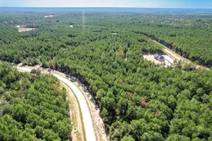 15409 Frst Grv Dr, Willis, TX 77378 - Photo 15