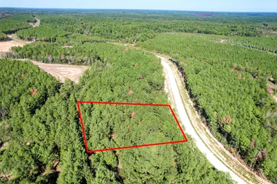 15409 Forest Grove Drive, Willis, TX 77378 - Photo 25