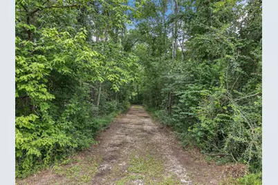 15685 Franklin Drive, Conroe, TX 77303 - Photo 5