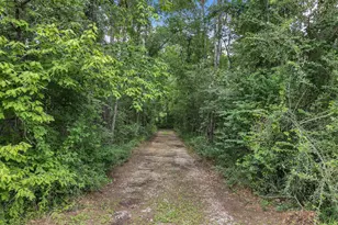 15685 Franklin Dr, Conroe, TX 77303 - Photo 5