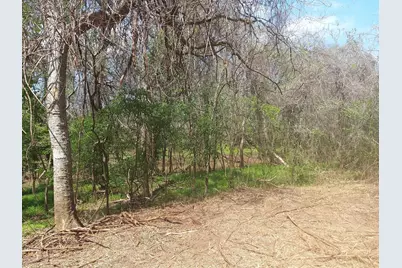 Lot 2 Fm 521, Angleton, TX 77515 - Photo 17