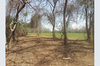 Lot 2 Fm 521, Angleton, TX 77515 - Photo 19