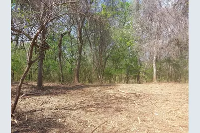Lot 2 Fm 521, Angleton, TX 77515 - Photo 15