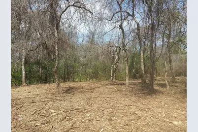 Lot 2 Fm 521, Angleton, TX 77515 - Photo 13