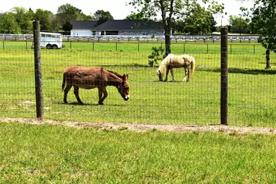35564 Brumlow Road, Hempstead, TX 77445 - Photo 17