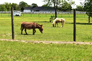 35564 Brumlow Rd, Hempstead, TX 77445 - Photo 35