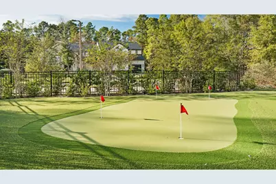 118 Castle Pines Drive, Montgomery, TX 77316 - Photo 49