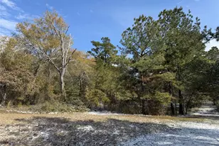 23004 Landrum Village Dr, Montgomery, TX 77316 - Photo 9